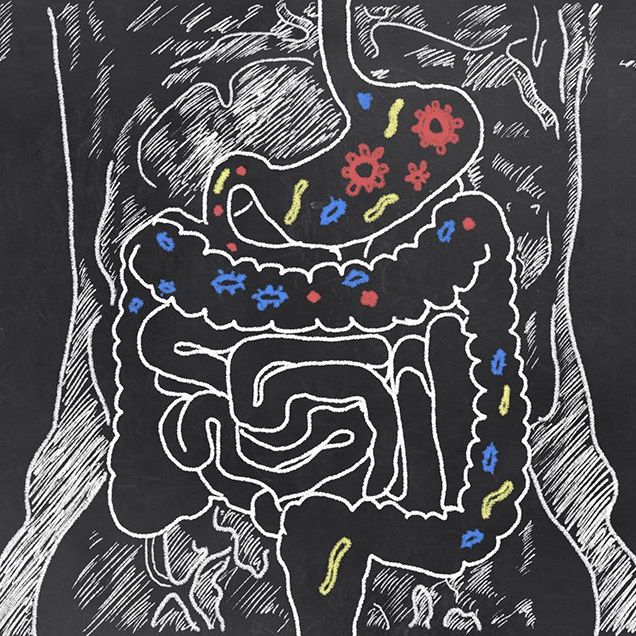 Faster Metabolism Makeover: Nurturing Your Gut Bacteria