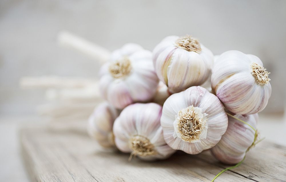 Garlic and cancer prevention