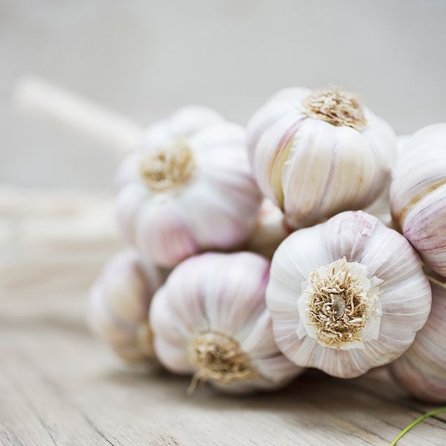 garlic recipes