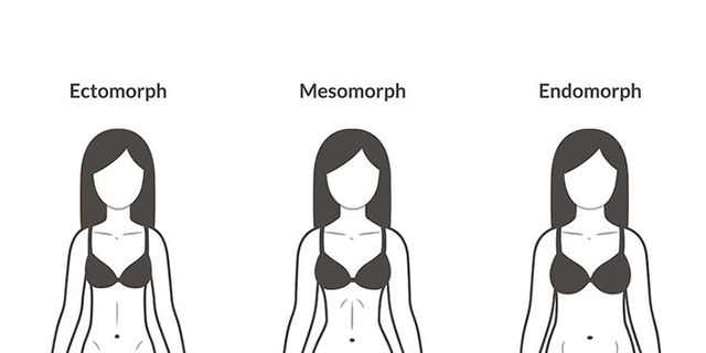 Human body types. Mesomorphic athletic body and full endomorphic