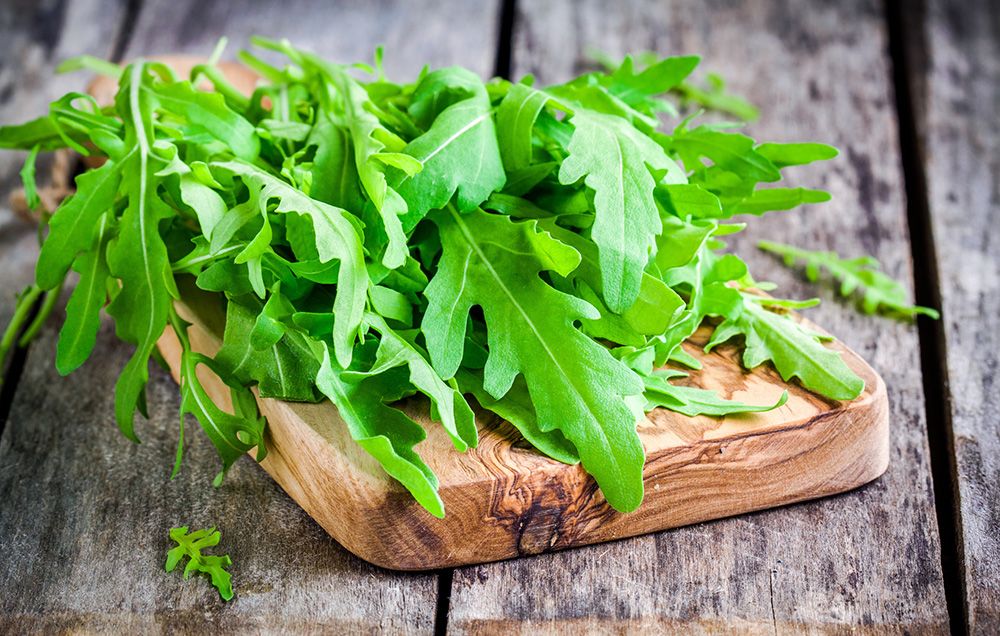 what is arugula recipes