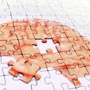 Jigsaw puzzle, Text, Puzzle, Organ, Human, Line, Illustration, 