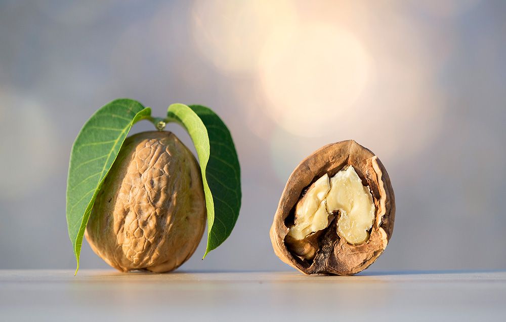 Walnut seed deals