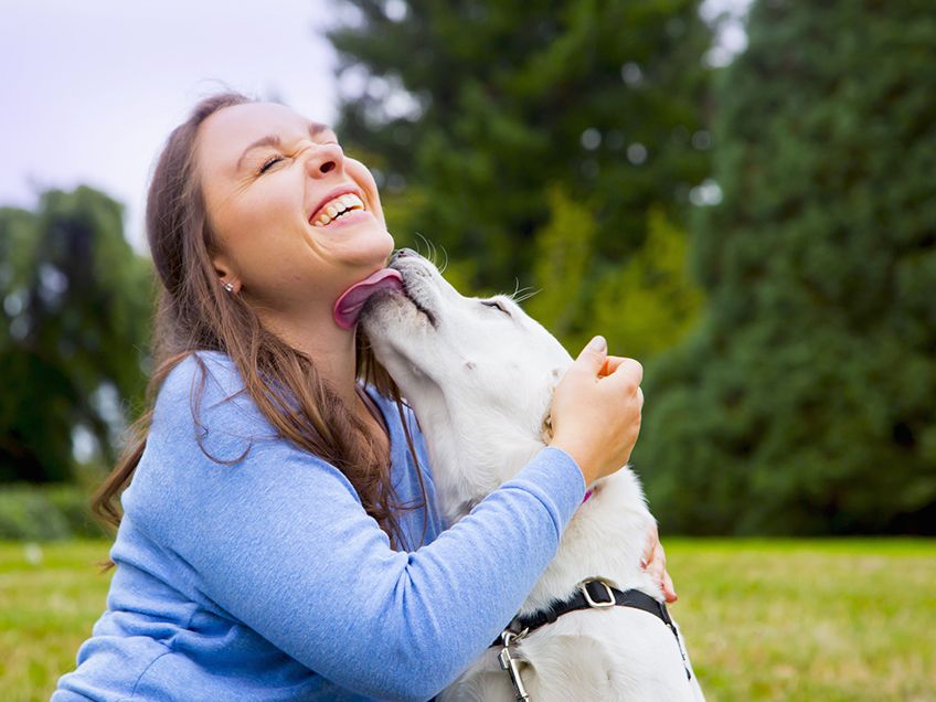 can dogs carry germs from person to person