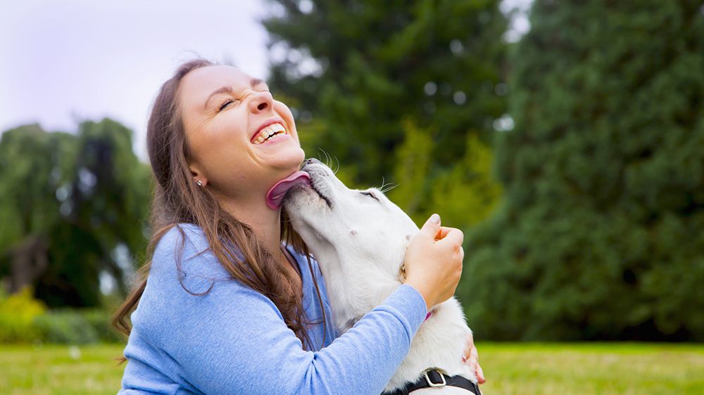 Can I Get Sick From My Dog Licking My Face? | Prevention