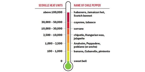 scoville heat scale