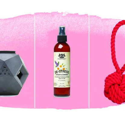 holiday dog gift guide