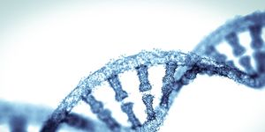 DNA test kit reviews