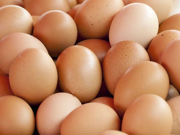 What Is the Egg Diet? How It Works, Diet Plan, Safety