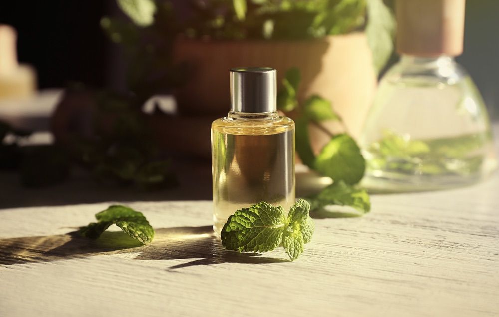 Mint best sale perfume oil