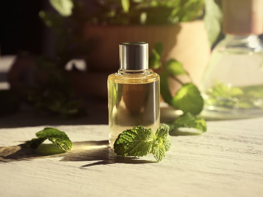 10 Benefits and Uses of Peppermint Oil