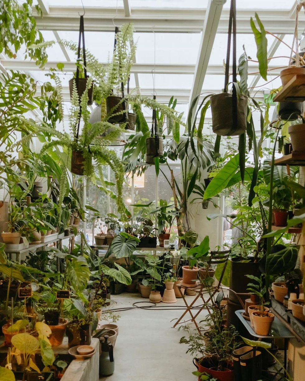 走訪全台10間必訪風格植物店！隱身巷弄植物藝廊空間、清水模玻璃屋溫室，植物迷必收藏