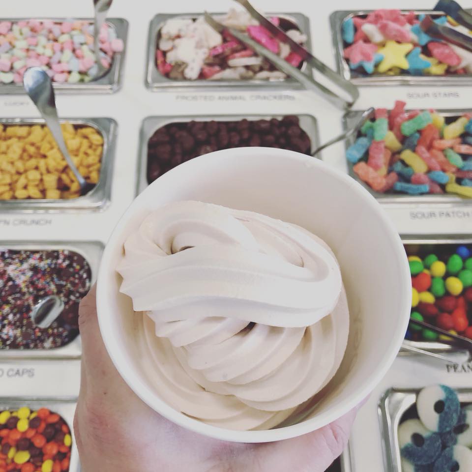 25 Best Frozen Yogurt Shops You Can Find In America