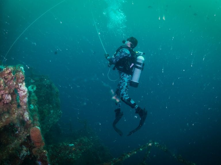a royal australian navy diver scuba dives on the hmas adelaide ffg 01 shipwreck with sailors from mobile diving salvage unit mdsu 1 during exercise dugong 2016, in sydney, australia, nov 14, 2016 dugong is a bi lateral us navy and royal australian navy training exercise, advancing tactical level us service component integration, capacity, and interoperability with australian clearance diving team auscdt one us navy combat camera photo by petty officer 1st class arthurgwain l marquez