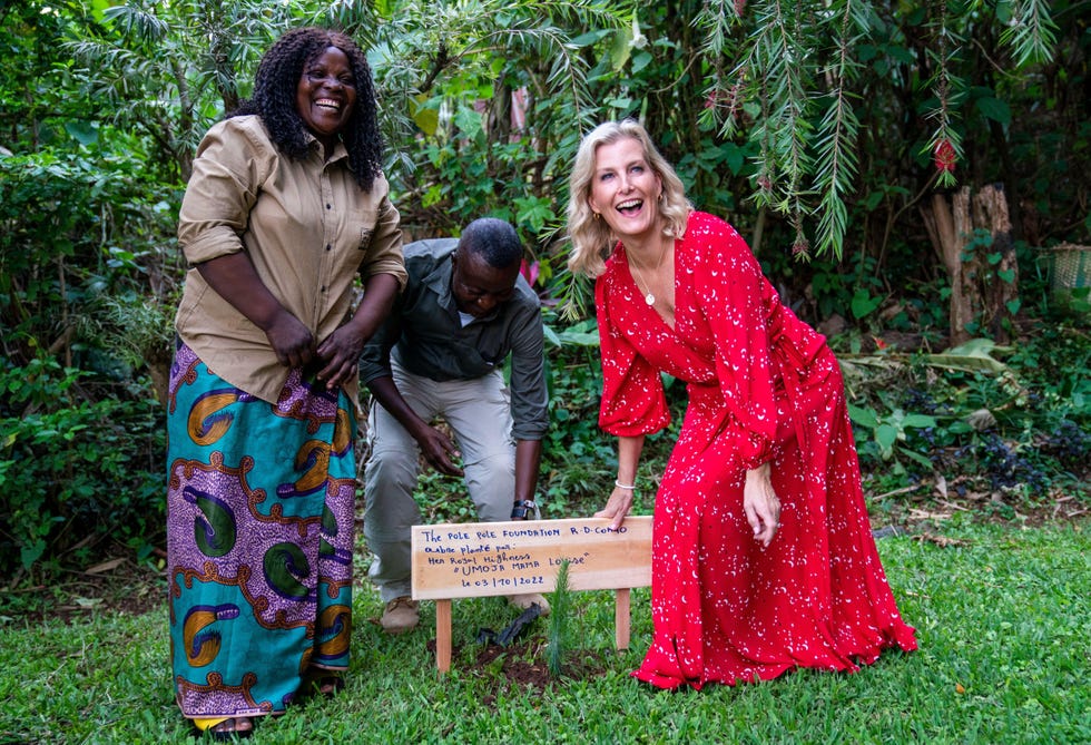 2k4mdbx the countess of wessex plants a tree alongside a plaque which features her royal highness congolese name, umoja mama louise, given to her by representatives from the pole pole foundation during a visit to bukavu, south kivu province in the democratic republic of congo in congolese tradition, people are called mama or papa followed by the name of their eldest child umoja means unity in swahili picture date monday october 3, 2022