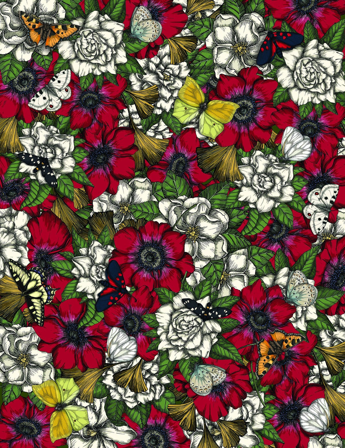 Casa - cover