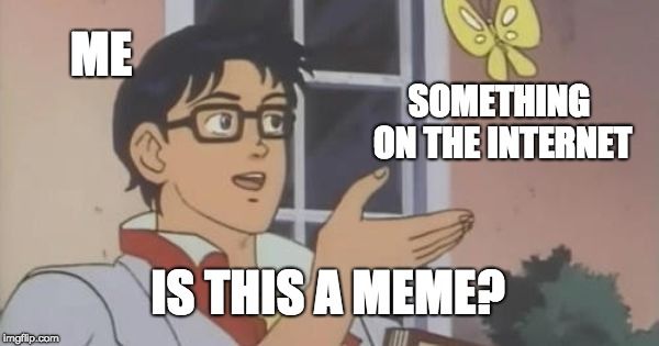 What is a meme?
