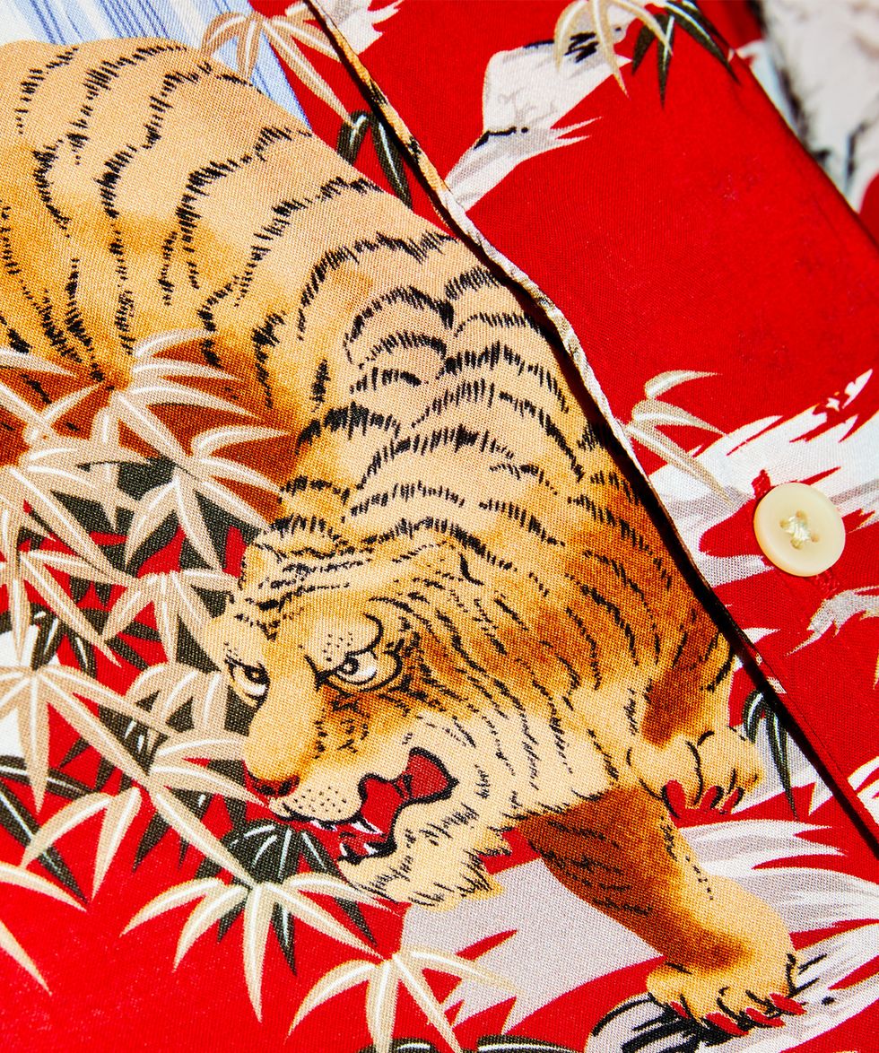 Bengal tiger, Tiger, Felidae, Big cats, Carnivore, Wildlife, Illustration, 