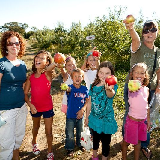 large group of kids and two women in apple orchard holding apples toward camera
