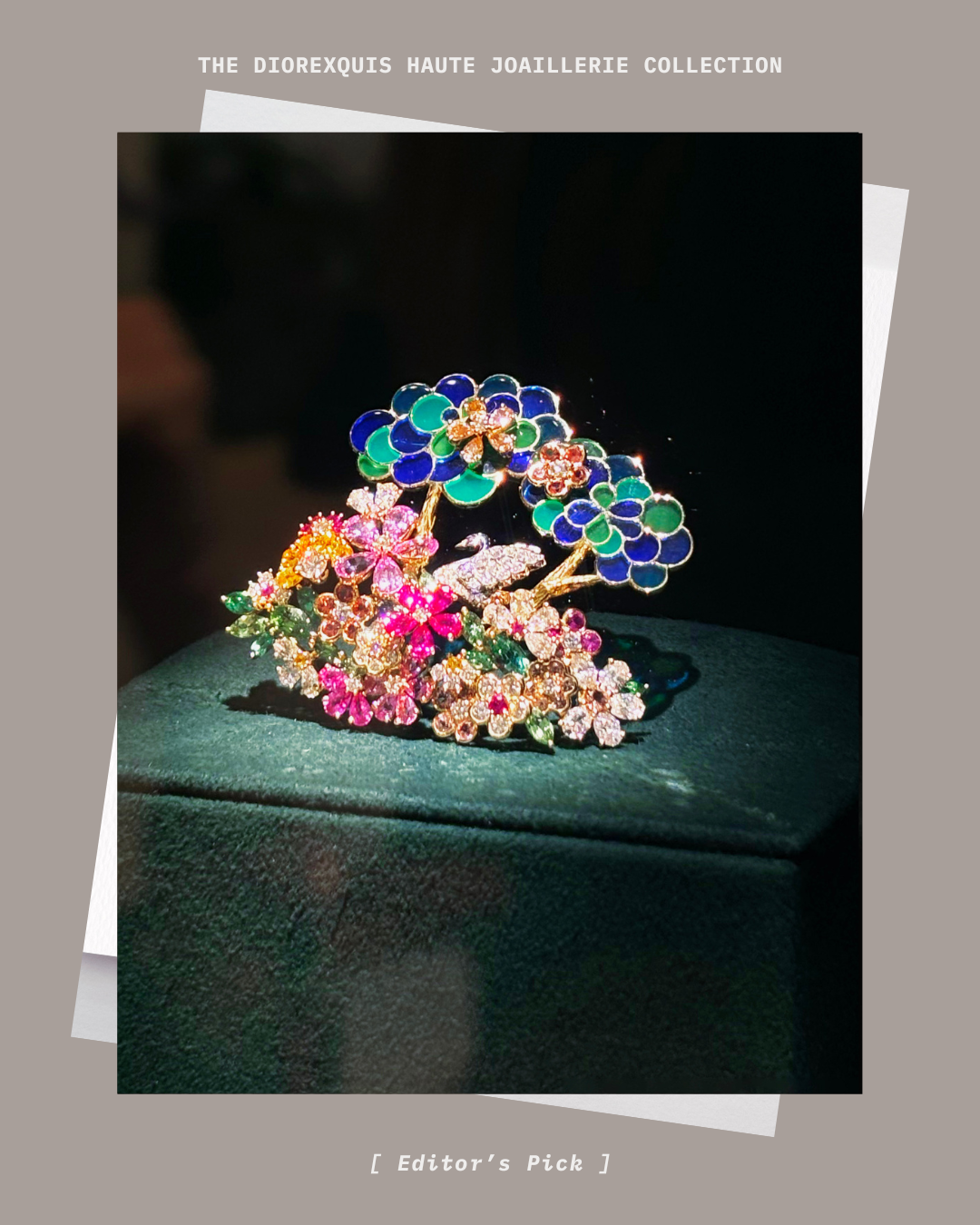 Dior Joaillerie ディオール　ジュエリー　写真集 ディオールからまるで“プリント”を施したかのようなハイ