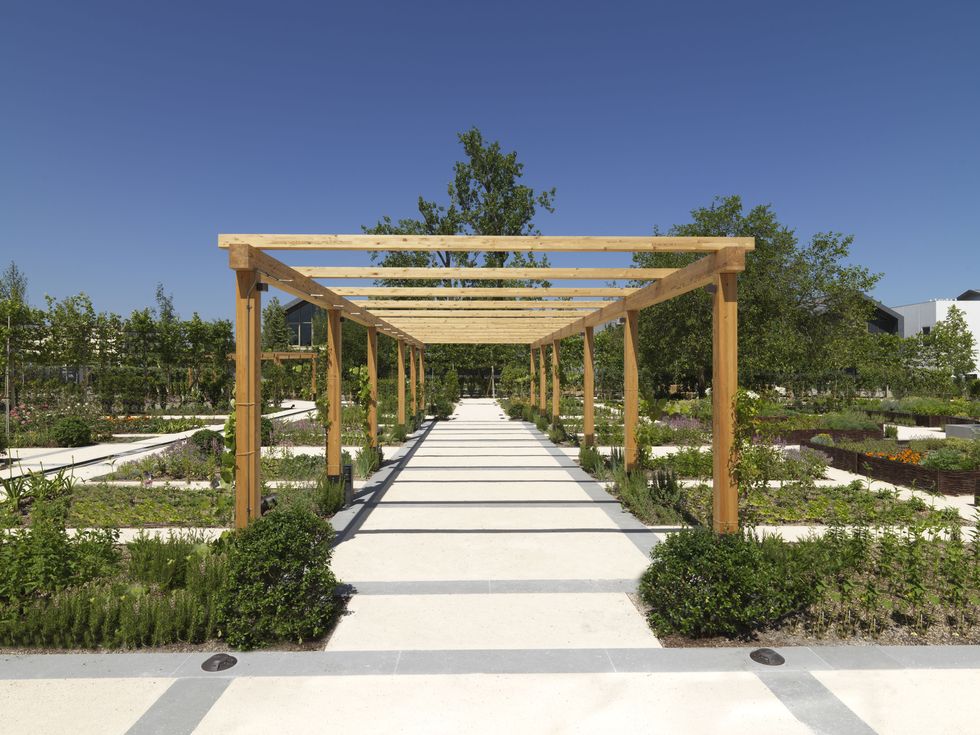 Walkway, Architecture, Pergola, Botany, Public space, Botanical garden, Tree, Garden, Landscape, Pavilion, 