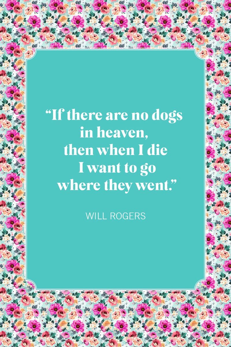 dog mom quotes will rogers