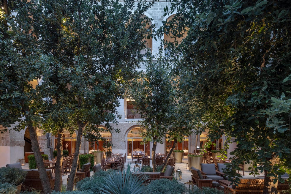 Tree, Property, Architecture, Building, Woody plant, House, Plant, Home, Hacienda, Real estate, 