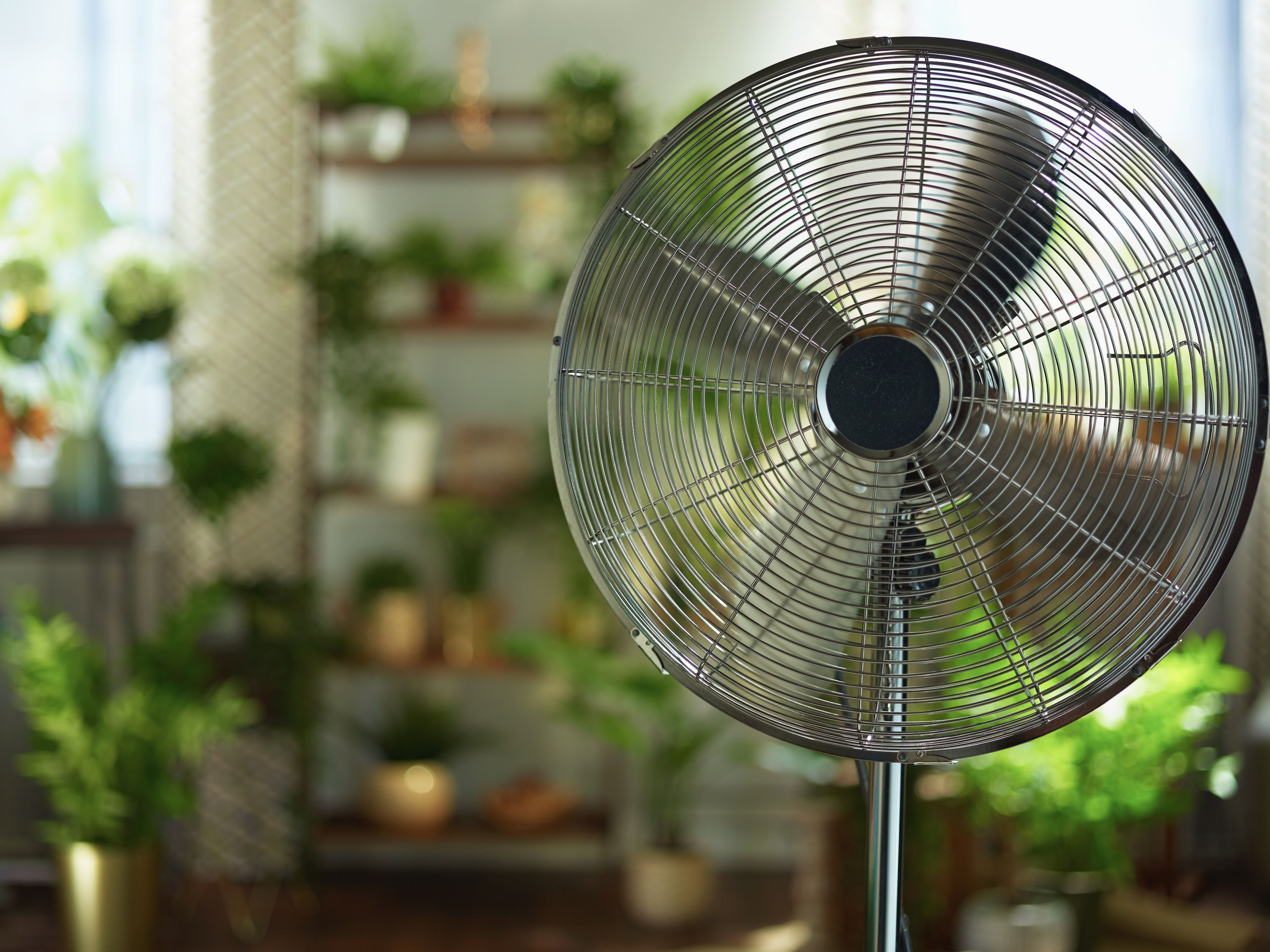 Using a fan to cool store a room