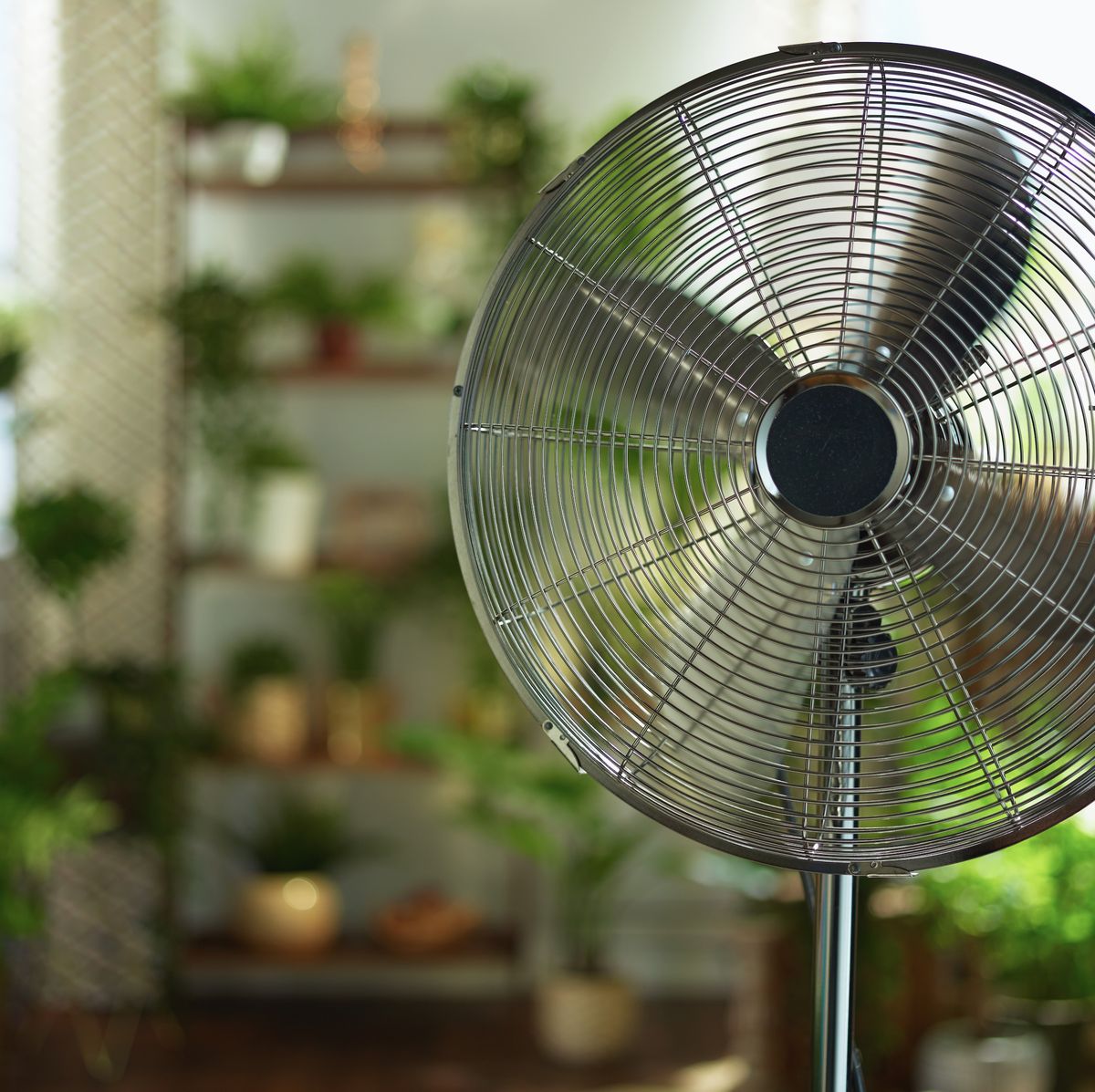 3 Easy Cooling Fan Tricks In Hot Weather: Cool Down A Room
