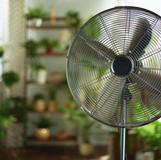 Cómo combinar ventilador y aire acondicionado para mantener la casa  fresquita gastando menos electricidad