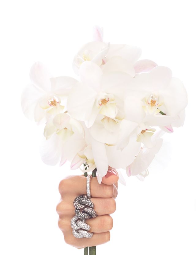 White, Flower, Pink, Cut flowers, Plant, Hand, Petal, Blossom, Moth Orchid, Finger, 