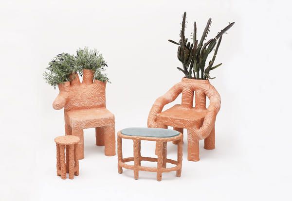 Furniture, Chair, Flowerpot, Table, Botany, Houseplant, Room, Plant, Grass family, Tree, 