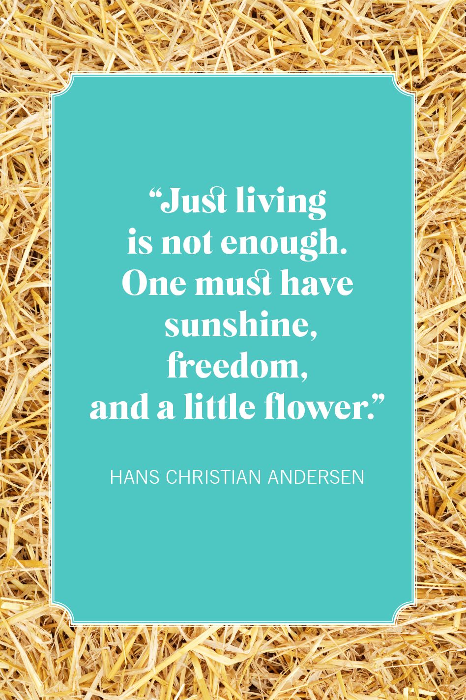 nature quotes hans christian andersen