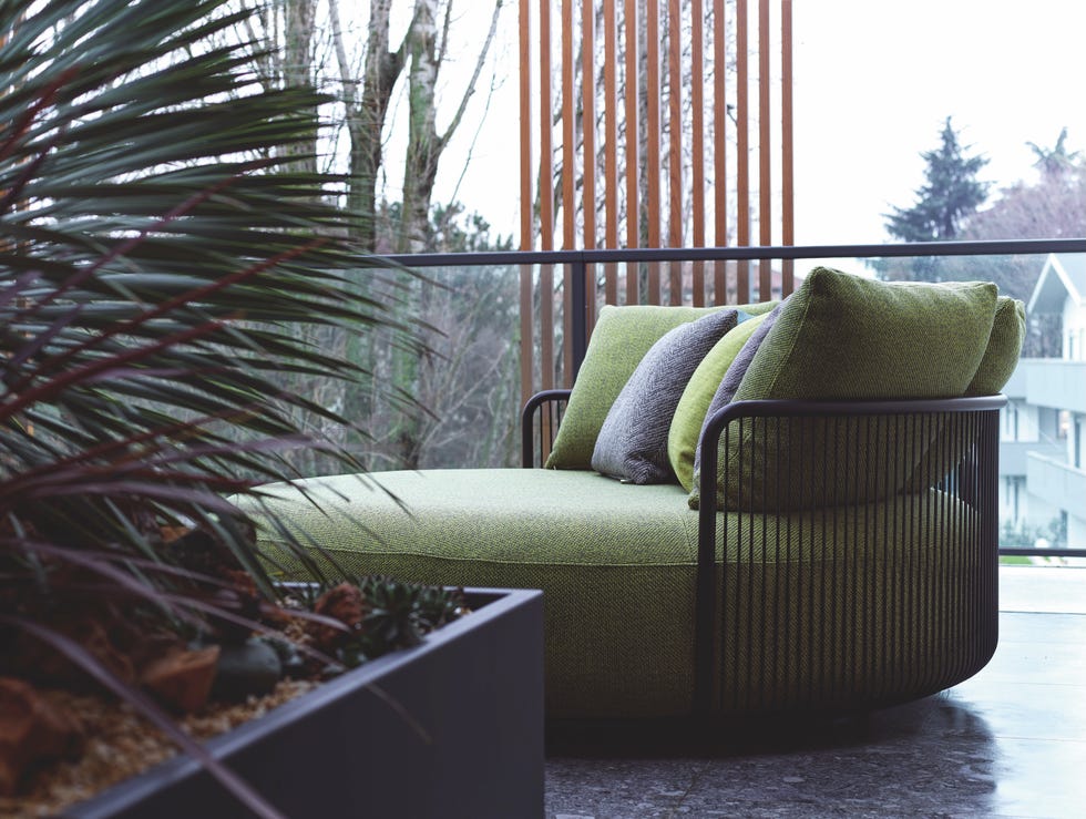jardinera de plantas perennes, sofa de doble respaldo gabinete de curiosidades, esta casa es unica en su especie