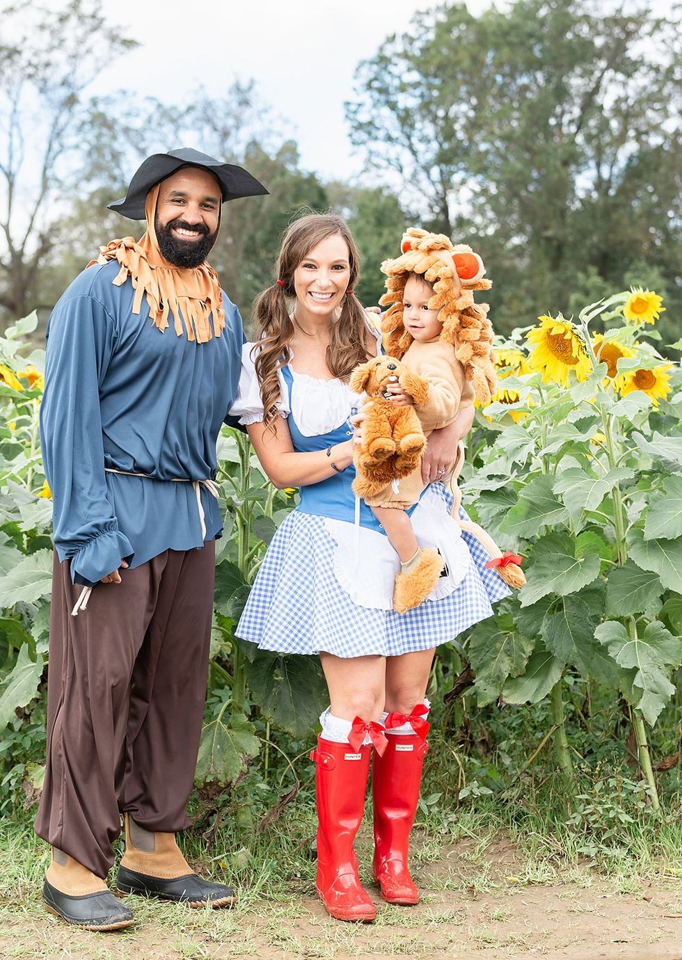 wizard of oz 3 person costumes