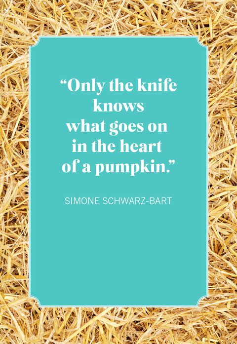 simone schwarzbart pumpkin quotes