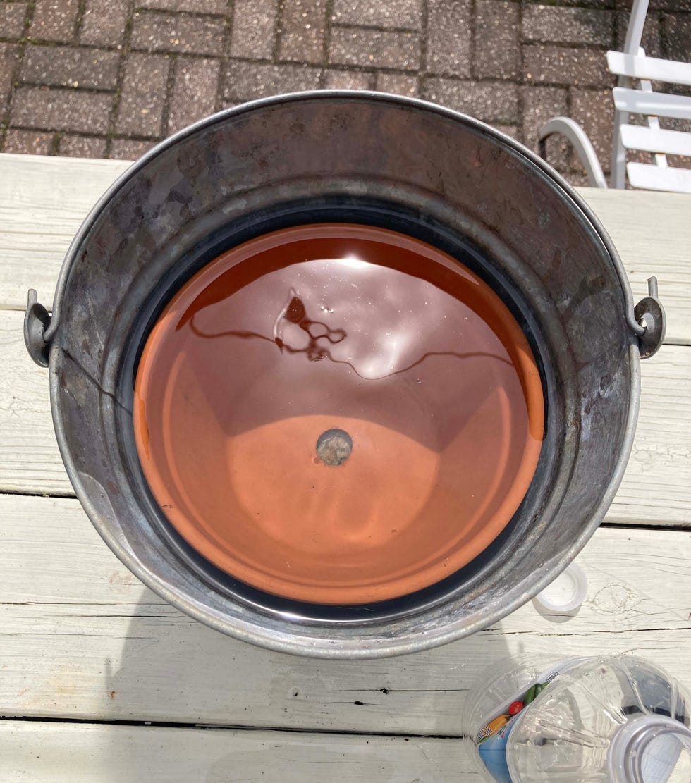 terra cotta pot soaking in a bucket in a vinegar water solution