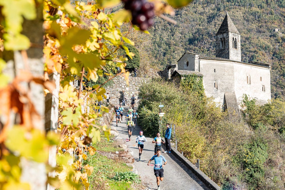 valtellina wine trail