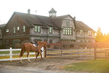 horse roaming in an enclosure next to a farmhouse like building at sunset