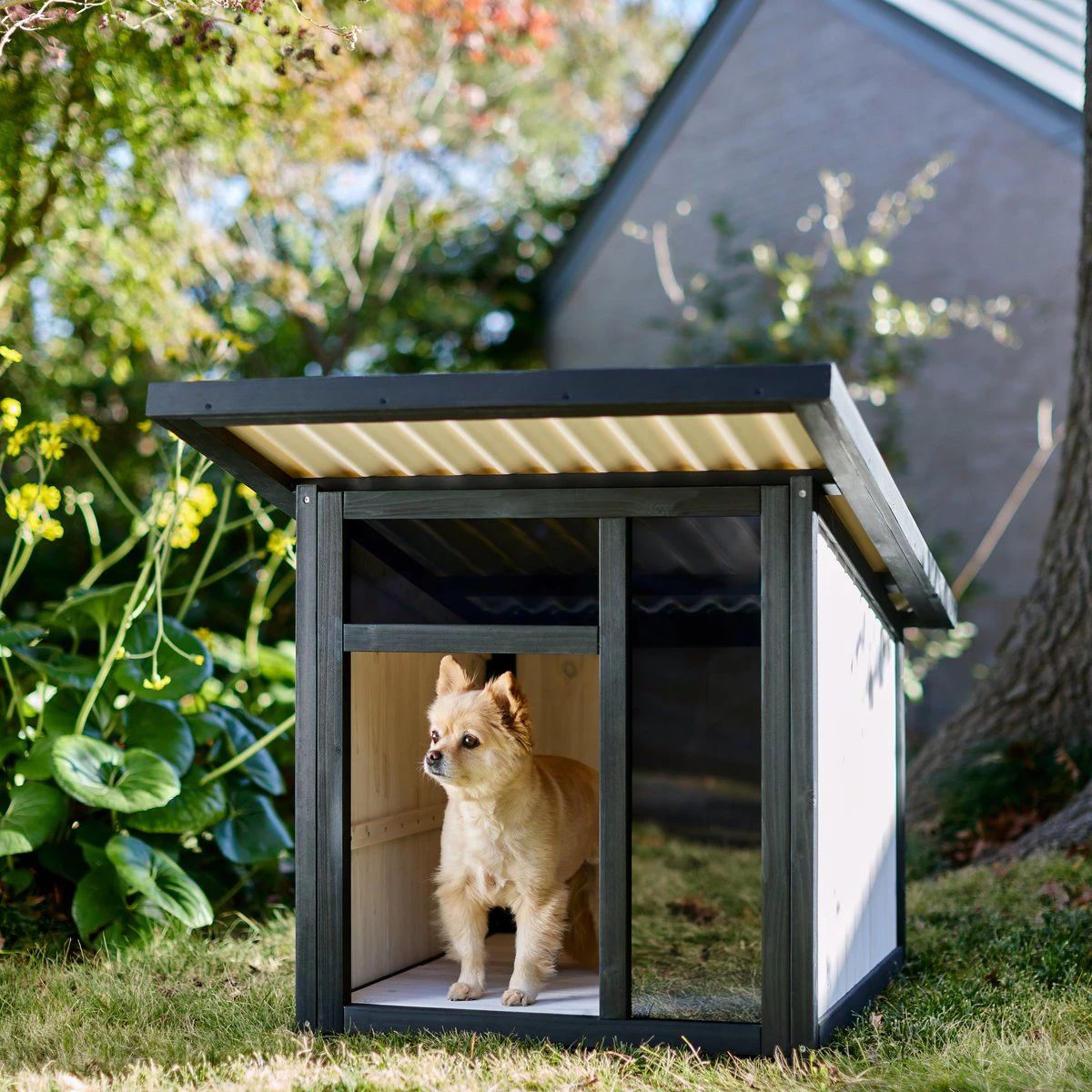 inside luxury dog houses