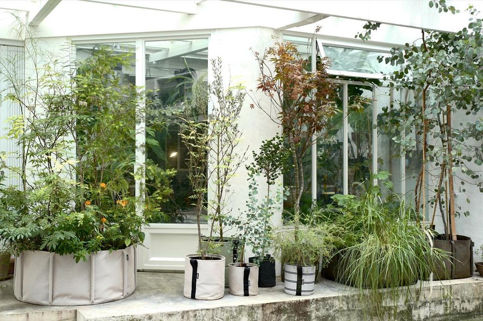 走訪全台10間必訪風格植物店！隱身巷弄植物藝廊空間、清水模玻璃屋溫室，植物迷必收藏
