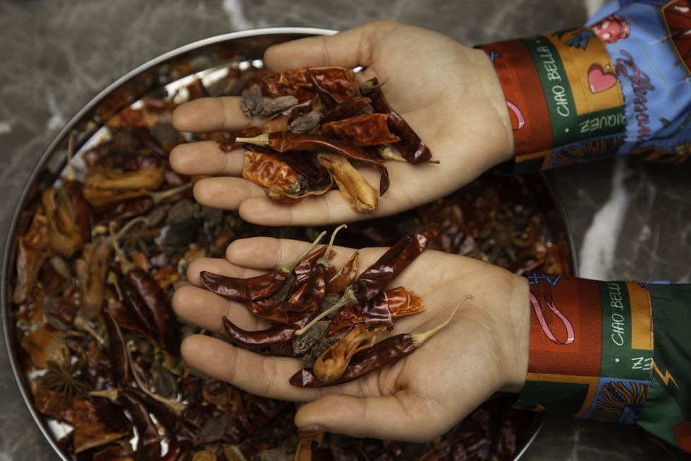 Chapulines, Insect, Design, Mehndi, Hand, Beetle, Food, Pattern, Pest, Cuisine, 