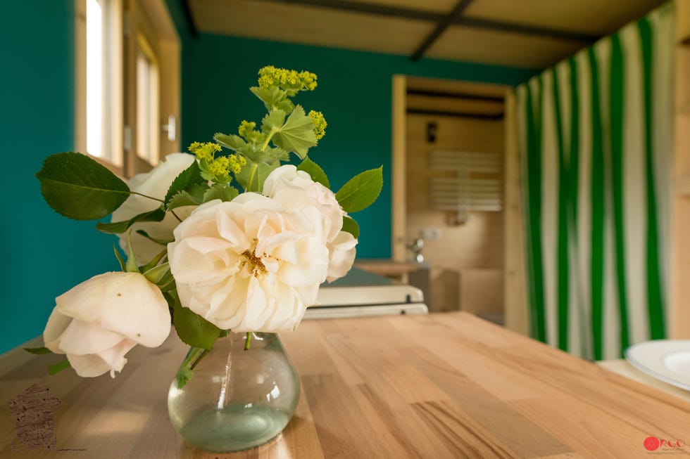 Mini casa con techo retráctil