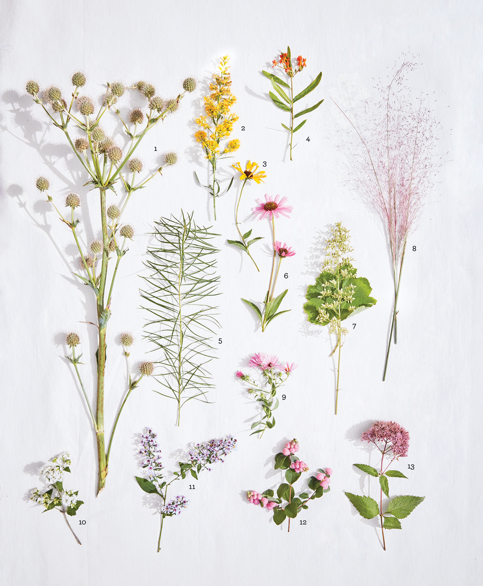 flowers