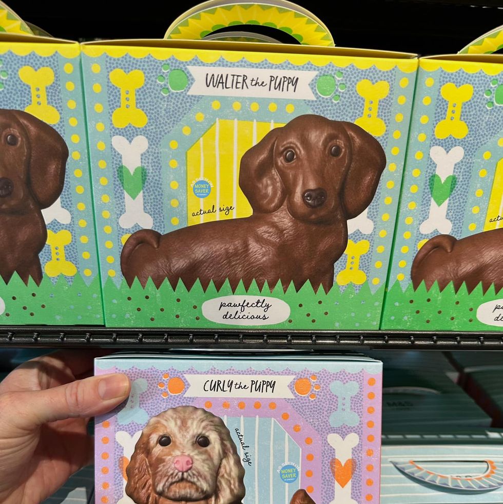 M&S Chocolate Puppy Easter Eggs: The Walter Easter Egg Is Back