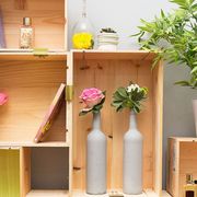Shelf, Flowerpot, Vase, Houseplant, Room, Flower, Plant, Furniture, Shelving, Interior design, 