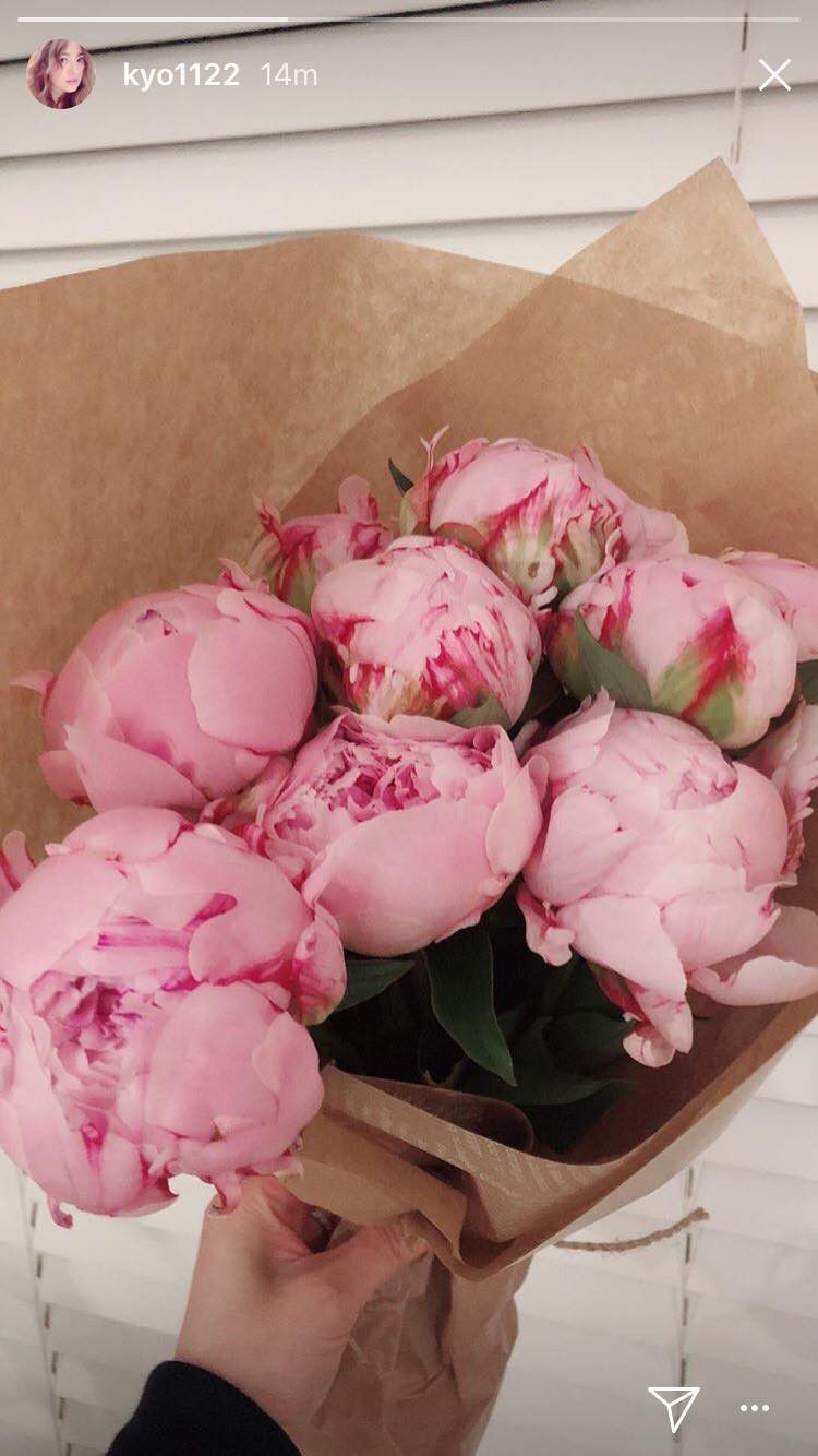 Flower, Pink, common peony, Cut flowers, Peony, Petal, Plant, Bouquet, Flowering plant, Chinese peony, 