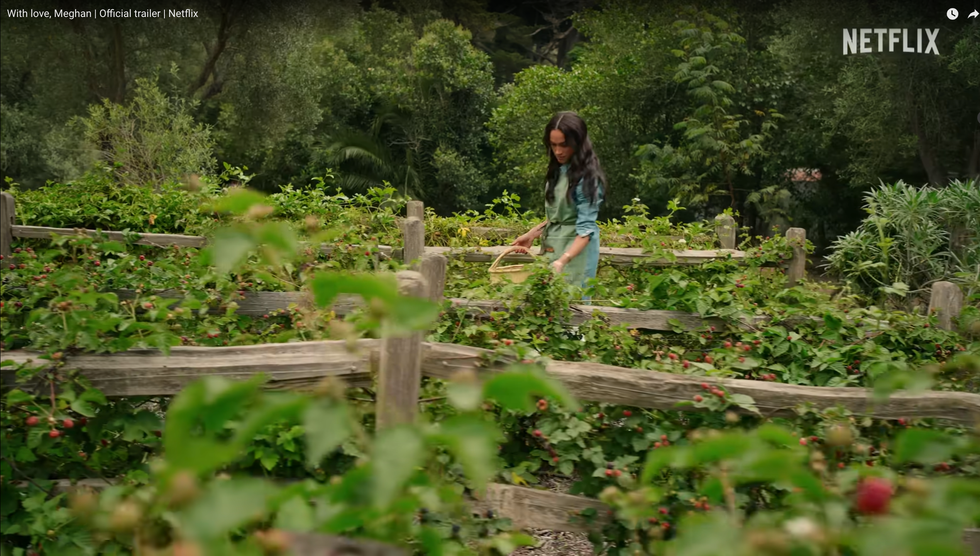 meghan markle garden