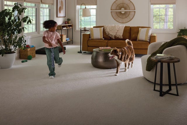 child playing with a dog in a cozy living room
