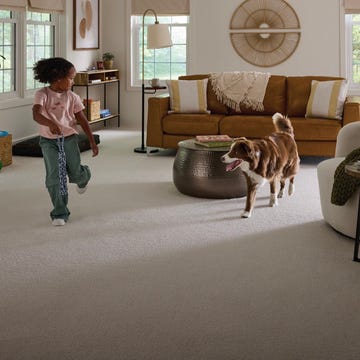 child playing with a dog in a cozy living room child playing with a dog in a cozy living room